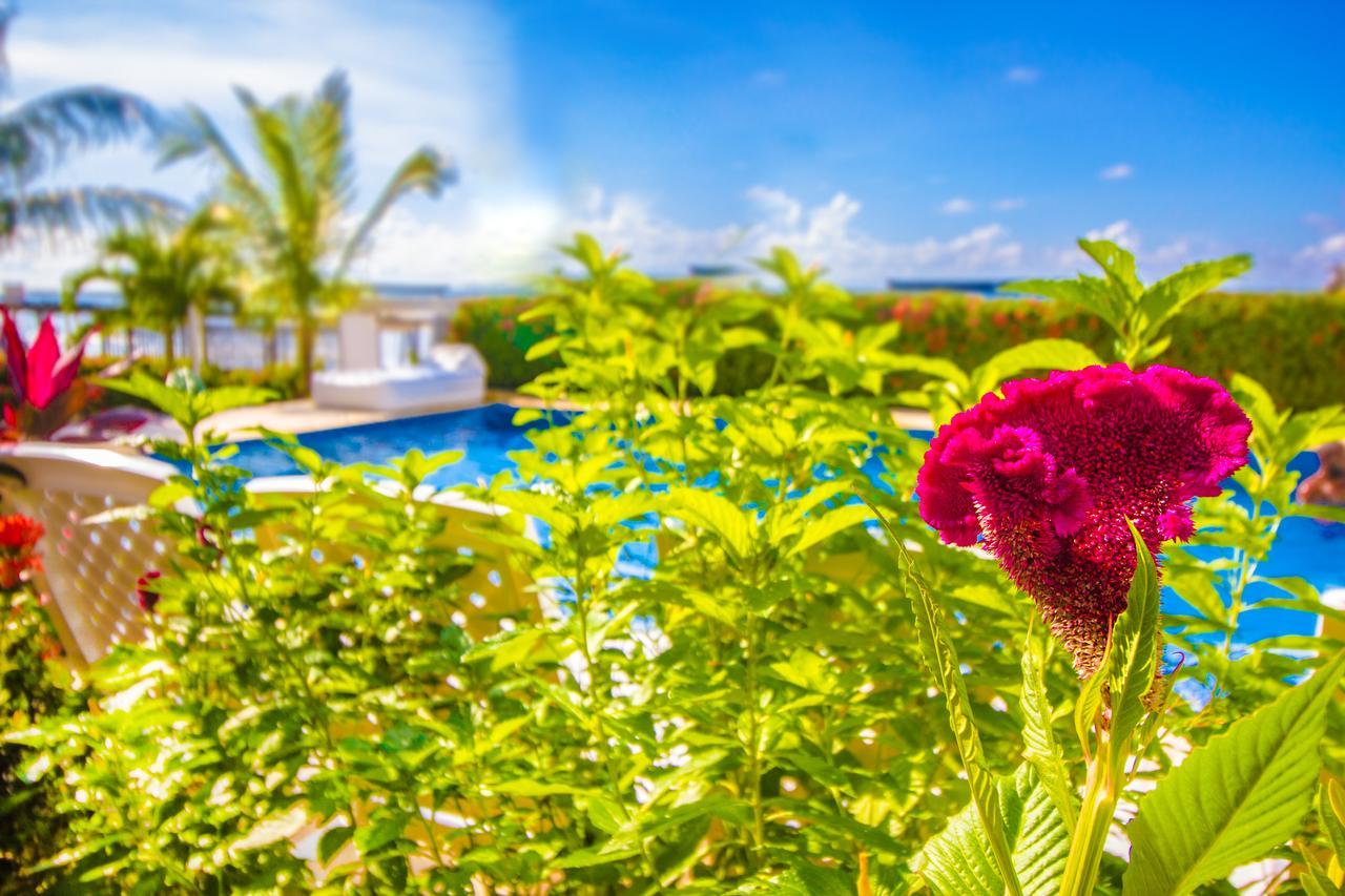 Hotel Aria Manzanillo Cartagena Exterior foto